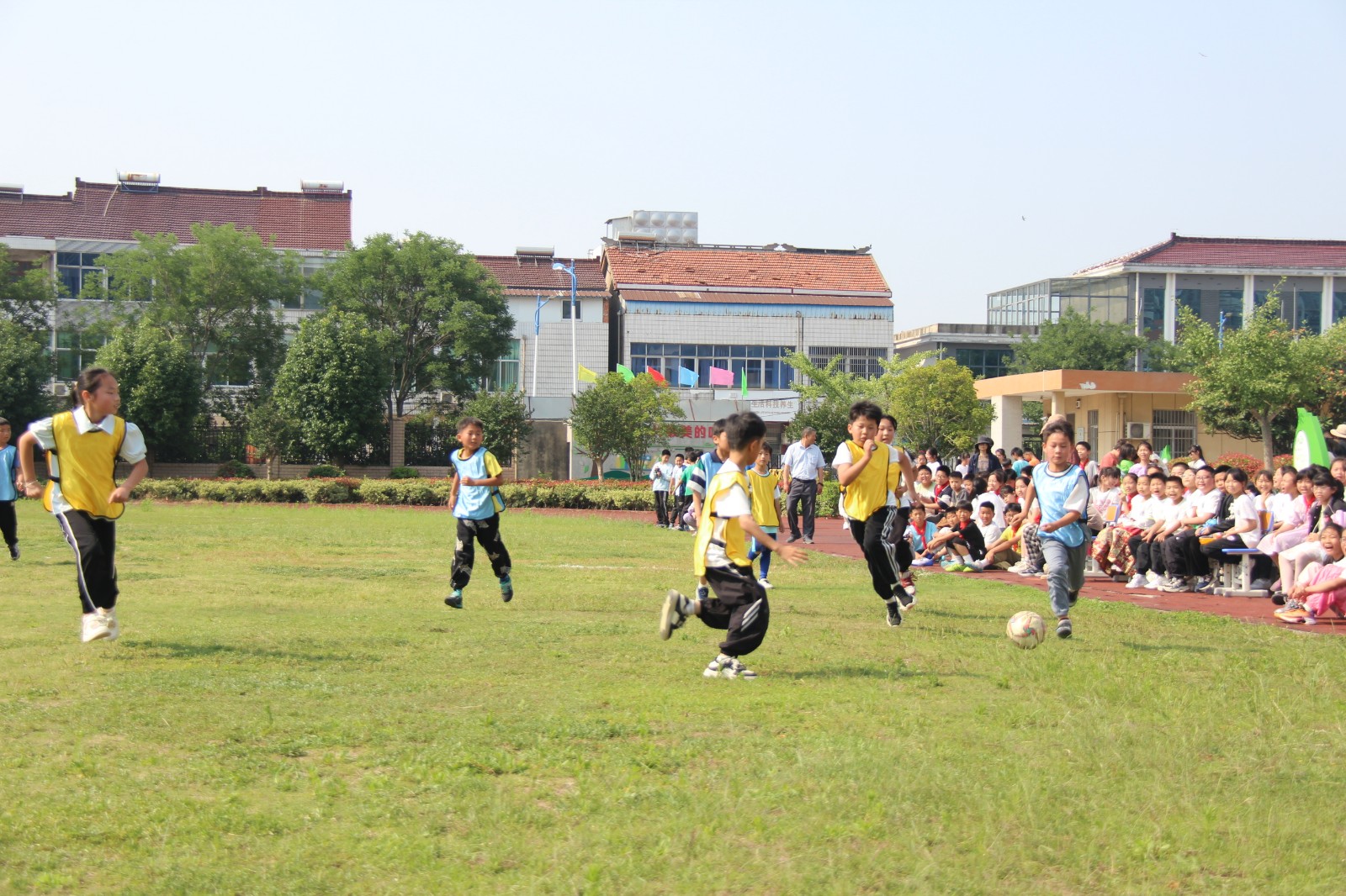IMG_6262.JPG